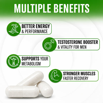NaturalSlim Testosterin Men’s Multivitamin &amp; Herbal Testosterone Support Supplement – 180 Capsules
